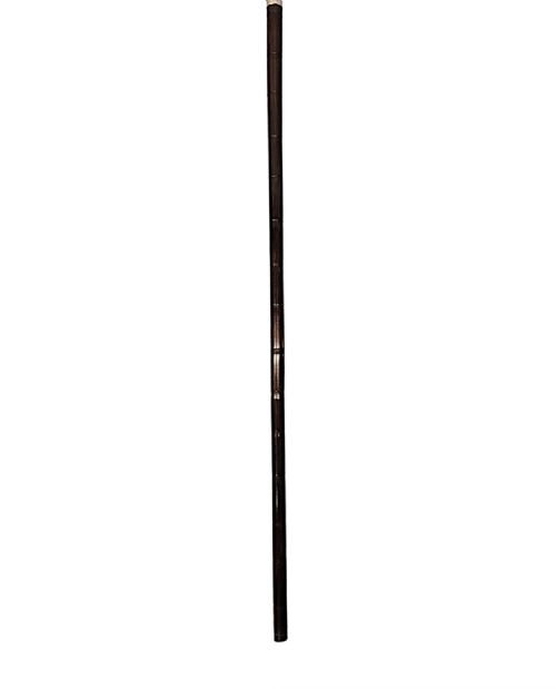A FABULOUS 19TH CENTURY SILVER MOUNTED GADGET WALKING CANE WITH SNUFF BOX HANDLE AND FOUR LEAF CLOVER MOTIF - ADDITIONAL PHOTO 5