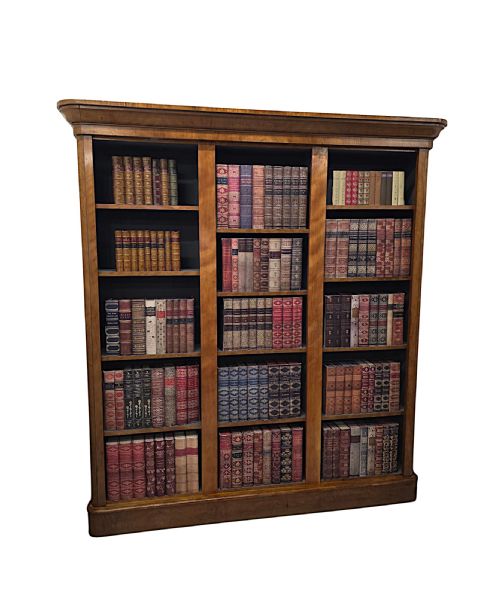 A GORGEOUS 19TH CENTURY SATINWOOD OPEN BOOKCASE - ADDITIONAL PHOTO 5