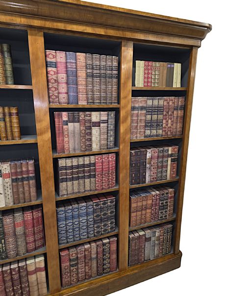 A GORGEOUS 19TH CENTURY SATINWOOD OPEN BOOKCASE - ADDITIONAL PHOTO 7