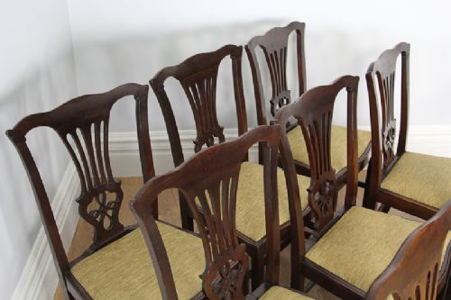 fig 2. 10 Edwardian Mahogany Chippendale Style Dining Chairs (Circa 1901 - 1910)