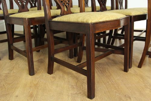 fig 4. 10 Edwardian Mahogany Chippendale Style Dining Chairs (Circa 1901 - 1910)