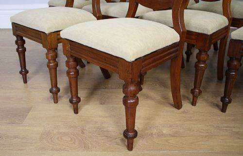 fig 5. 10 Victorian Mahogany Balloon Back Dining Chairs (Circa 1860 - 1880)