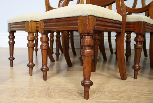 fig 7. 10 Victorian Mahogany Balloon Back Dining Chairs (Circa 1860 - 1880)