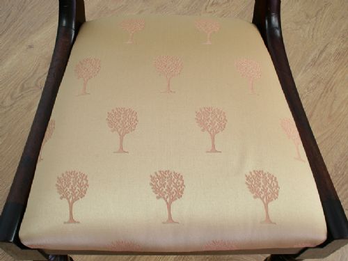 fig 7. Set of Six Mahogany Regency Dining Chairs (Circa 1820)