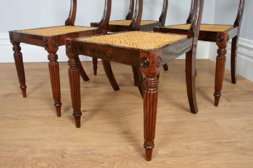 fig 4. Set of 4 Regency Rosewood Trafalgar Influenced Dining Chairs