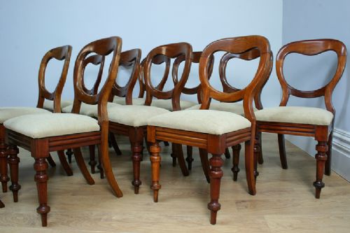 fig 5. Victorian Set of 12 Mahogany Balloon Back Dining Chairs