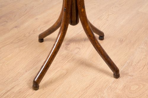 fig 8. Edwardian Bentwood Hallstand (Circa 1900)