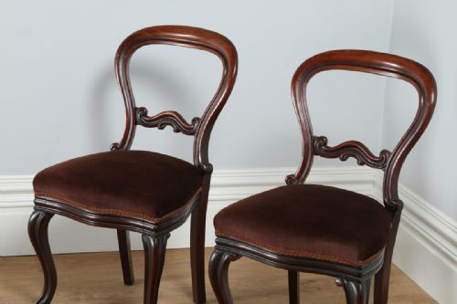 fig 1. Pair of Victorian Cuban Mahogany Balloon Back Kitchen Dining Hall Chairs (Circa 1850)