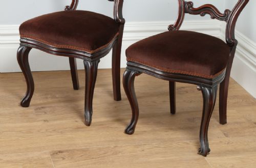 fig 2. Pair of Victorian Cuban Mahogany Balloon Back Kitchen Dining Hall Chairs (Circa 1850)