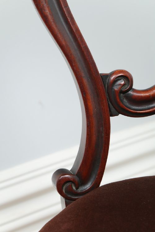 fig 7. Pair of Victorian Cuban Mahogany Balloon Back Kitchen Dining Hall Chairs (Circa 1850)
