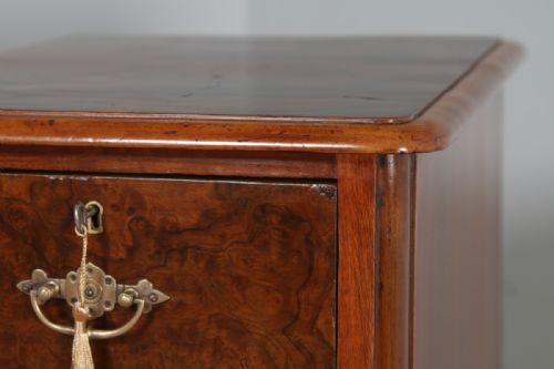 fig 8. Antique Pair of English Victorian Burr Walnut Bedside Chests (Circa 1880)