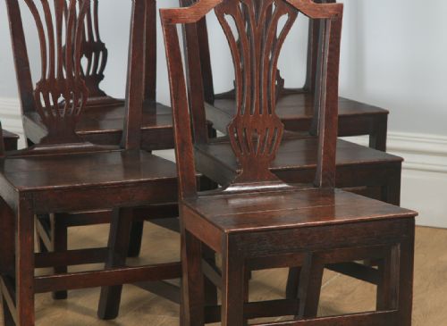 fig 5. Antique English Set of Six Georgian Hepplewhite Solid Oak Country Dining Chairs (Circa 1800)