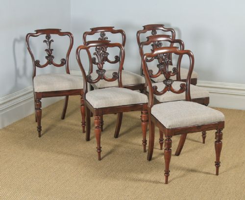 Antique Set of 6 Six English William IV Rosewood Carved Dining Chairs (Circa 1835)