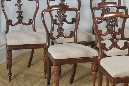 fig 3. Antique Set of 6 Six English William IV Rosewood Carved Dining Chairs (Circa 1835)