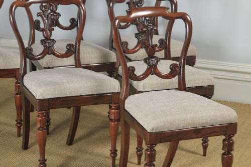 fig 5. Antique Set of 6 Six English William IV Rosewood Carved Dining Chairs (Circa 1835)