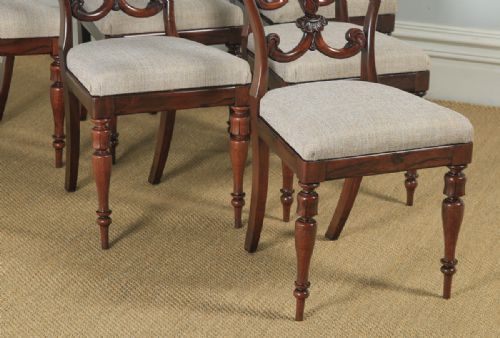 fig 6. Antique Set of 6 Six English William IV Rosewood Carved Dining Chairs (Circa 1835)
