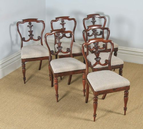 fig 7. Antique Set of 6 Six English William IV Rosewood Carved Dining Chairs (Circa 1835)