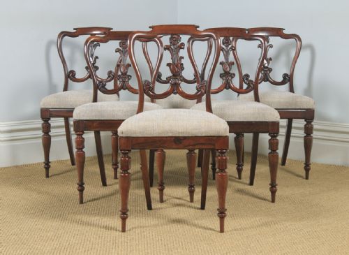 fig 8. Antique Set of 6 Six English William IV Rosewood Carved Dining Chairs (Circa 1835)