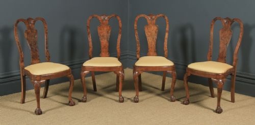 Antique English Edwardian Queen Anne Style Set of 4 Four Burr Walnut Dining Chairs (Circa 1900)