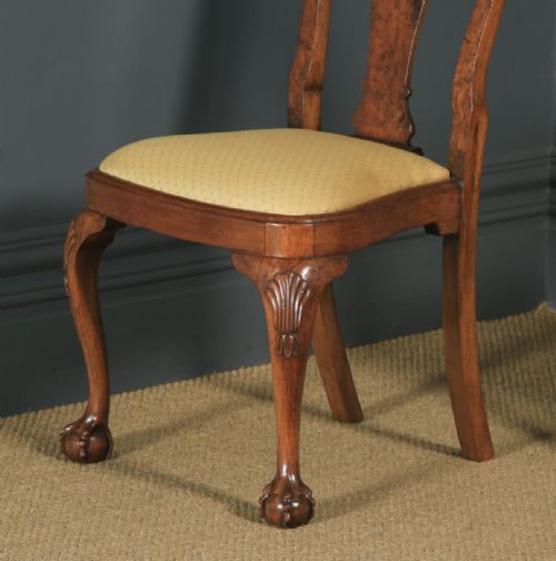 fig 5. Antique English Edwardian Queen Anne Style Set of 4 Four Burr Walnut Dining Chairs (Circa 1900)