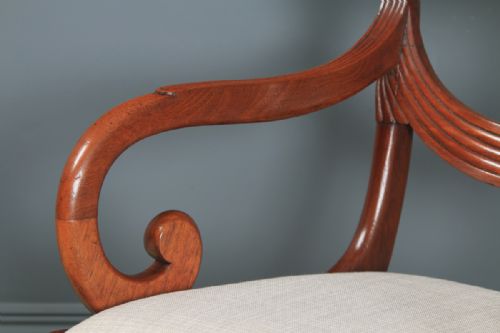 fig 8. Antique English Georgian Regency Set of Four 4 Mahogany Trafalgar Dining Chairs (Circa 1820)