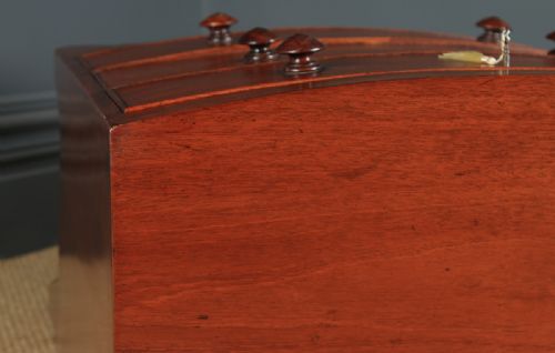 fig 3. Small Antique English Georgian Regency Mahogany Bow Front Chest of Drawers (Circa 1820)