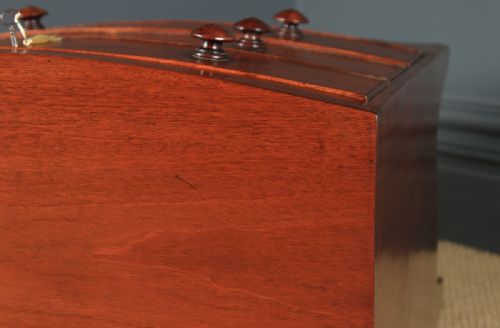 fig 5. Small Antique English Georgian Regency Mahogany Bow Front Chest of Drawers (Circa 1820)