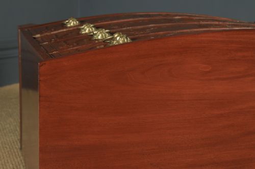 fig 3. Antique English Georgian Regency Mahogany Bow Front Carved Chest of Drawers (Circa 1820)