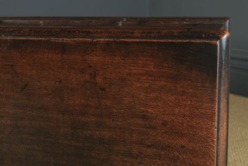 fig 5. Antique English 18th Century Georgian Oak Geometric Mule Chest Blanket Box Trunk with Drawer (Circa 1730)