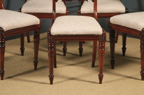 fig 5. Antique English Georgian Set of Five 5 Rosewood Bar Back Dining Chairs (Circa 1830)