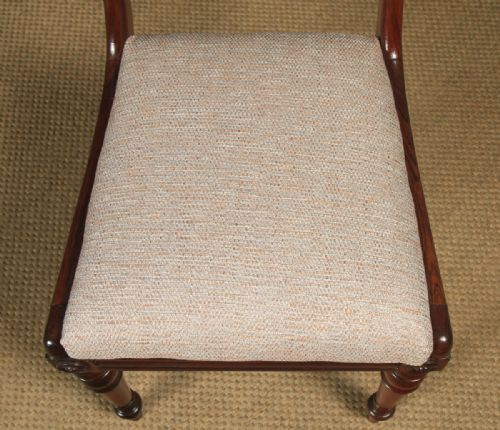 fig 5. Antique English Georgian Rosewood Bar Back Single Dining / Side / Office Desk Chair (Circa 1830)