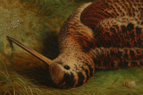 fig 2. Antique English Victorian Oil Game Painting Picture of a Woodcock Bird by Abel Hold (Circa 1868)
