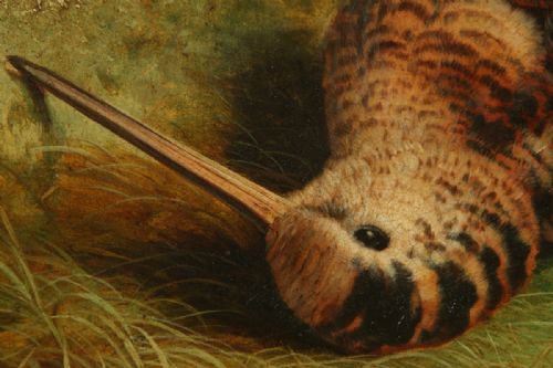 fig 3. Antique English Victorian Oil Game Painting Picture of a Woodcock Bird by Abel Hold (Circa 1868)