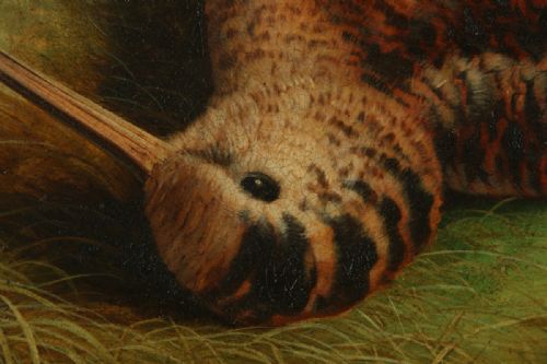 fig 5. Antique English Victorian Oil Game Painting Picture of a Woodcock Bird by Abel Hold (Circa 1868)
