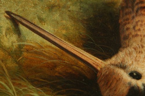 fig 6. Antique English Victorian Oil Game Painting Picture of a Woodcock Bird by Abel Hold (Circa 1868)