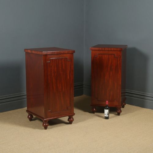 ANTIQUE ENGLISH LARGE PAIR OF GEORGIAN REGENCY FIGURED MAHOGANY PEDESTAL CABINETS CUPBOARDS BEDSIDES STANDS CIRCA 1820 - ADDITIONAL PHOTO 1