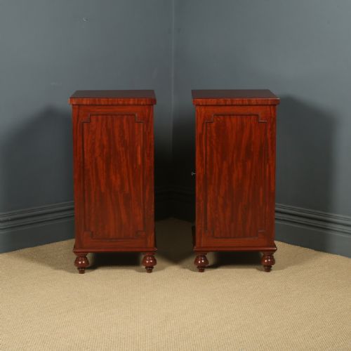 ANTIQUE ENGLISH LARGE PAIR OF GEORGIAN REGENCY FIGURED MAHOGANY PEDESTAL CABINETS CUPBOARDS BEDSIDES STANDS CIRCA 1820 - ADDITIONAL PHOTO 14