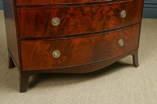 fig 2. Antique English Georgian Regency Flame Mahogany Bow Front Chest of Drawers (Circa 1820)