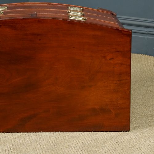 fig 5. Small Antique English Georgian Regency Bow Front Chest of Drawers (Circa 1810)