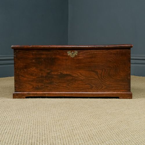 fig 3. Antique English Georgian Elm Flat-Top Blanket Chest (Circa 1820)