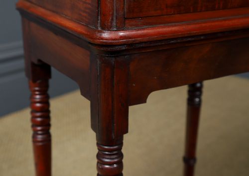 SMALL ANTIQUE ENGLISH VICTORIAN PAIR OF MAHOGANY BEDSIDES TABLES NIGHTSTANDS CHESTS CABINETS CIRCA 1840 - ADDITIONAL PHOTO 8