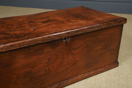 fig 5. Antique English Georgian Elm Flat Top Blanket Chest / Trunk (Circa 1830)