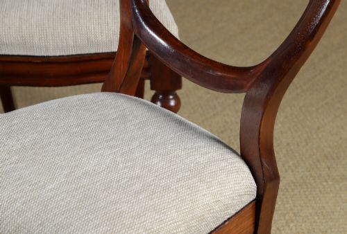 fig 3. A pair of mid-nineteenth century Victorian mahogany dining chairs featuring balloon back frames, turned front legs, and neutral fabric upholstered seats.
