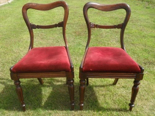 Pair of William IV Rosewood Balloon and Bar Back Dining Chairs