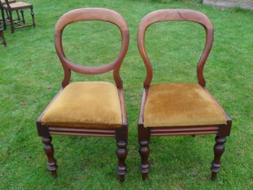 Pair of Victorian Mahogany Balloon Back Dining Side Chairs