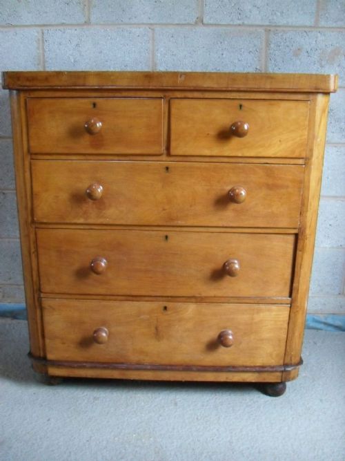 Victorian Light Mahogany Chest of Drawers with Bun Handles