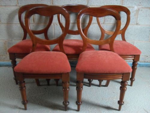 Set of 5 Victorian Sturdy Mahogany Balloon Back Dining Chairs