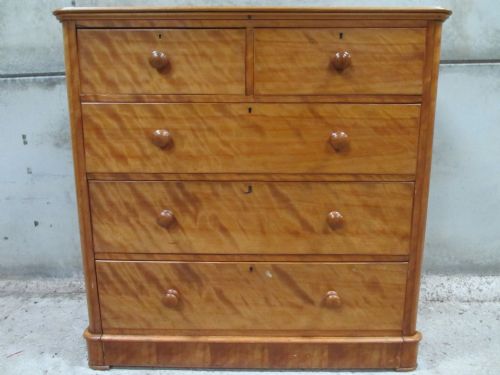 Superb Large Victorian Satin Birch Chest of Drawers with Bun Handles