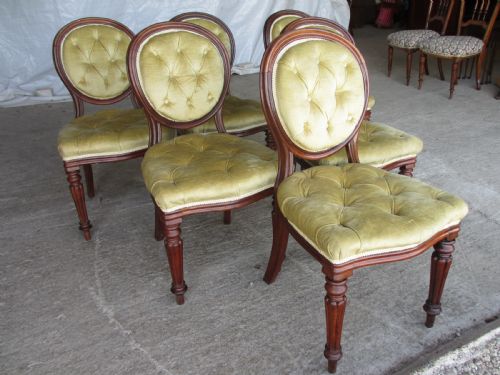 Set of 6 Quality 19th Century Dining Chairs. Button Upholstered Balloon Backs with Tapered Reeded Forelegs