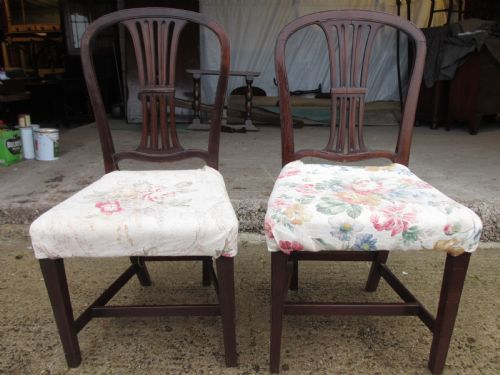 PAIR OF 19TH CENTURY VASE SPLAT BACK MAHOGANY DINING CHAIRS